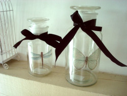 Ensemble de deux bocaux verre libellule et papillon