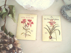 Duo de magnets aux fleurs style campagne