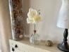 Soliflore en verre avec fleur blanche
